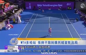 im体育官网首页- 科维托娃宣布怀孕喜讯 